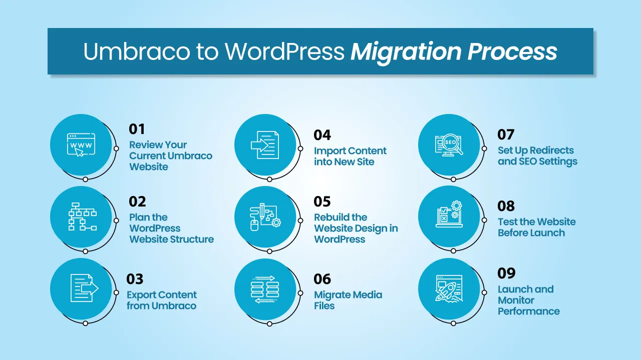 Umbraco to WordPress Migration Process